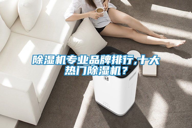 除湿机专业品牌排行,十大热门除湿机？