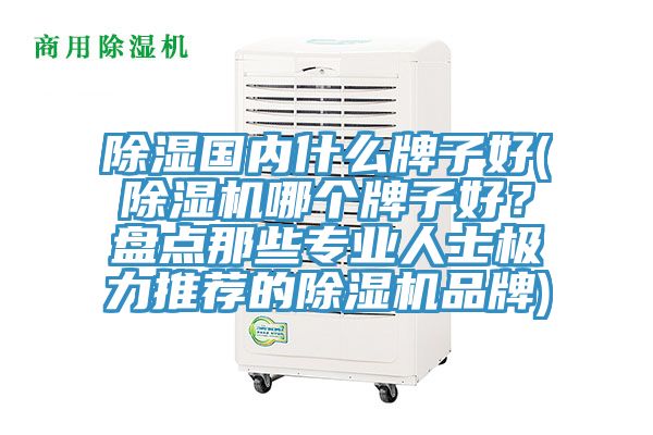 除湿国内什么牌子好(除湿机哪个牌子好？盘点那些专业人士极力推荐的除湿机品牌)