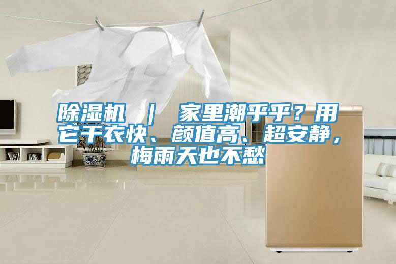 除湿机 ｜ 家里潮乎乎？用它干衣快、颜值高、超安静，梅雨天也不愁