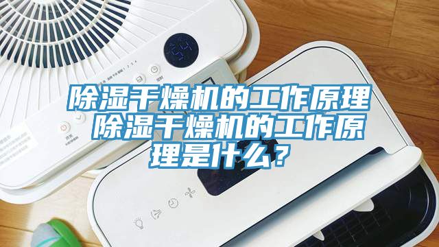 除湿干燥机的工作原理 除湿干燥机的工作原理是什么？