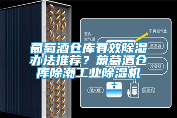 葡萄酒仓库有效除湿办法推荐？葡萄酒仓库除潮工业除湿机