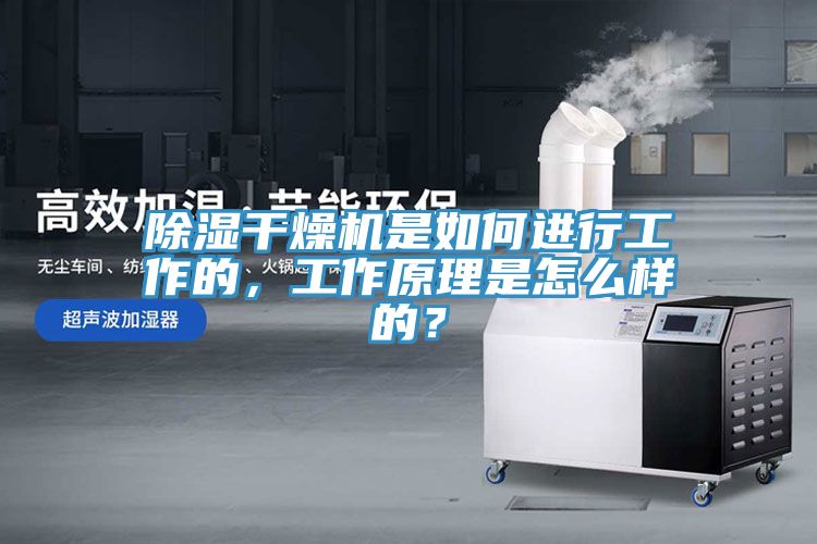 除湿干燥机是如何进行工作的，工作原理是怎么样的？