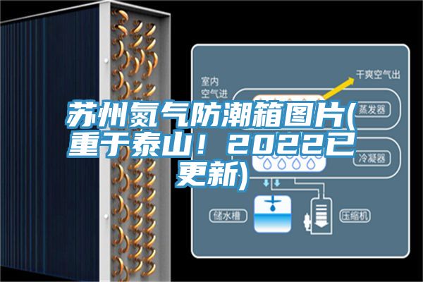 苏州氮气防潮箱图片(重于泰山！2022已更新)