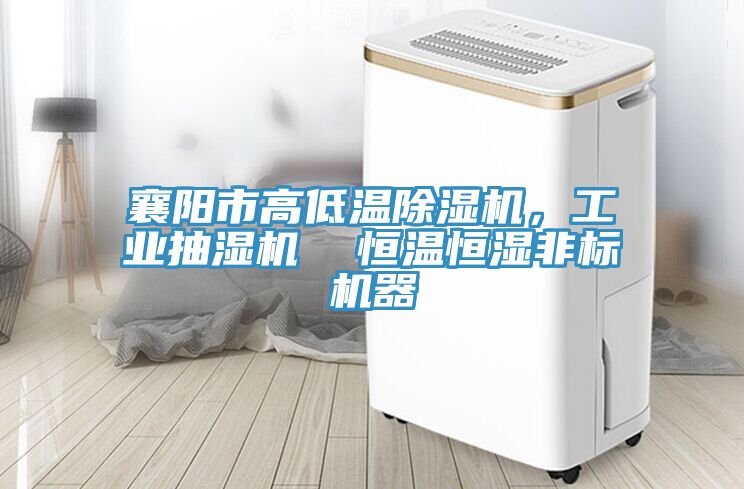 襄阳市高低温除湿机，工业抽湿机  恒温恒湿非标机器