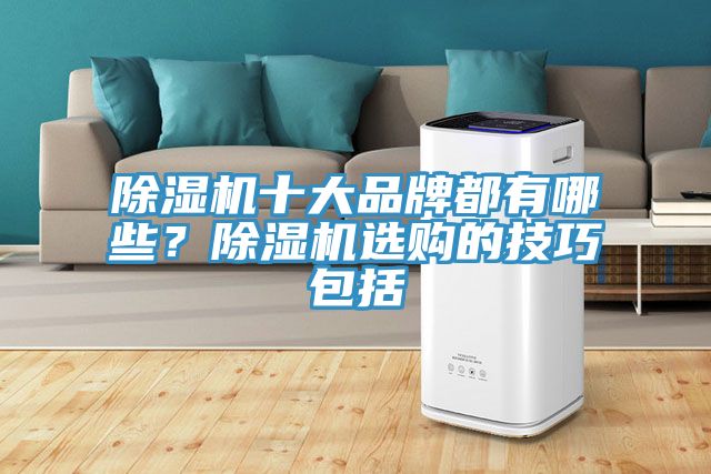 除湿机十大品牌都有哪些？除湿机选购的技巧包括