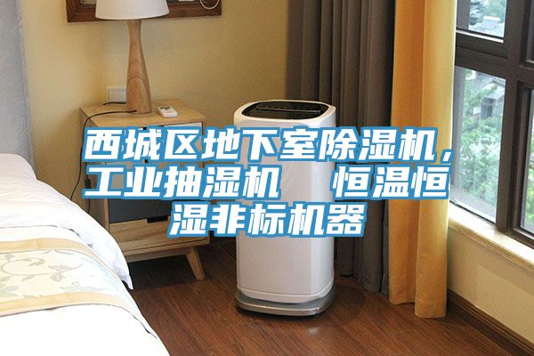 西城区地下室除湿机，工业抽湿机  恒温恒湿非标机器