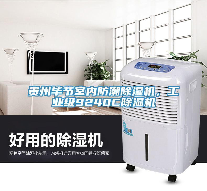 贵州毕节室内防潮除湿机，工业级9240C除湿机