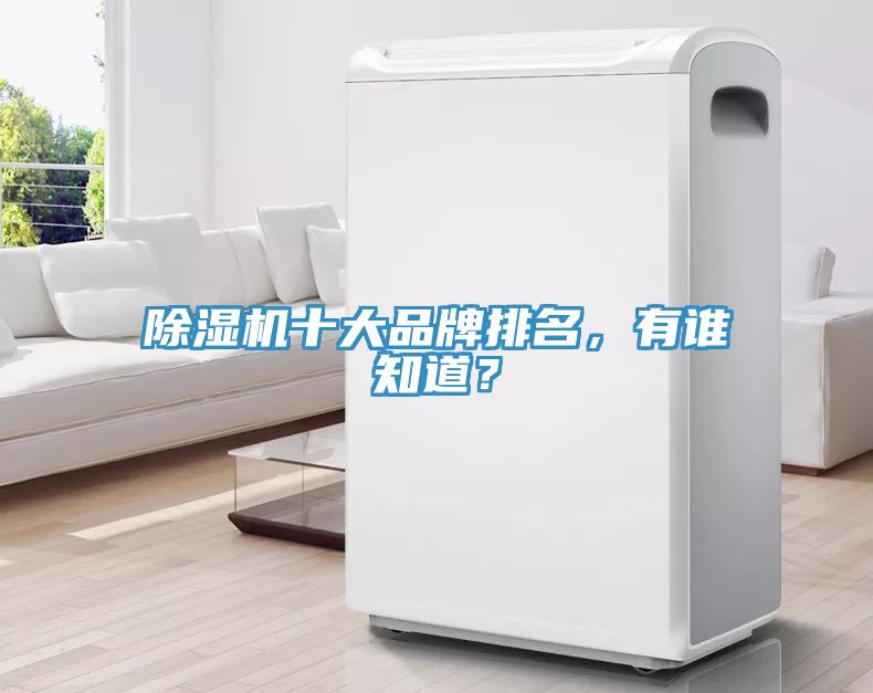 除湿机十大品牌排名，有谁知道？