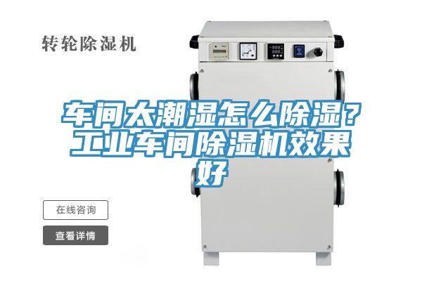 车间太潮湿怎么除湿？工业车间除湿机效果好