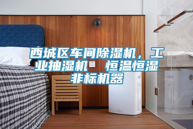 西城区车间除湿机，工业抽湿机  恒温恒湿非标机器