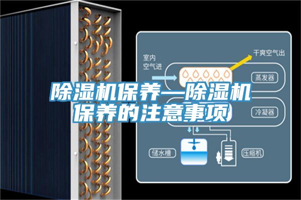 除湿机保养—除湿机保养的注意事项