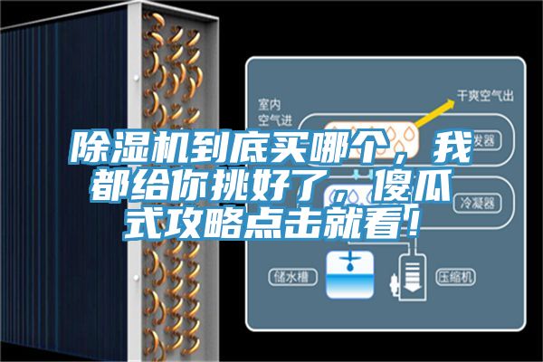 除湿机到底买哪个，我都给你挑好了，傻瓜式攻略点击就看！