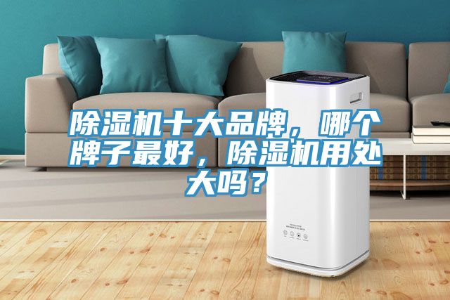 除湿机十大品牌，哪个牌子最好，除湿机用处大吗？
