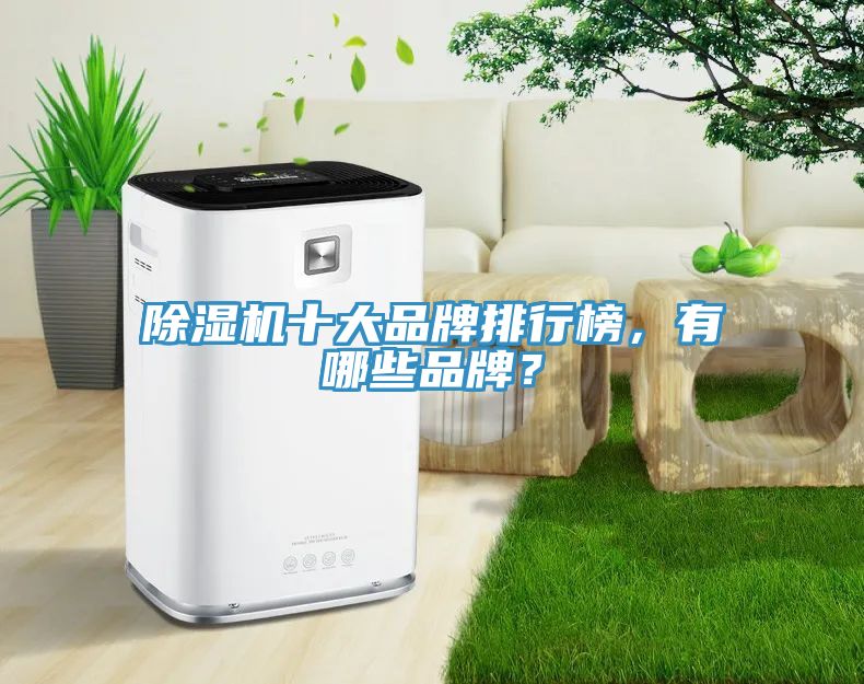 除湿机十大品牌排行榜，有哪些品牌？