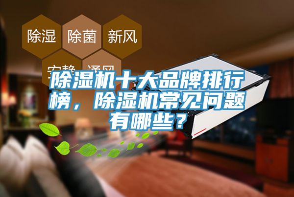 除湿机十大品牌排行榜，除湿机常见问题有哪些？
