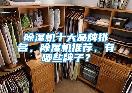 除湿机十大品牌排名，除湿机推荐，有哪些牌子？