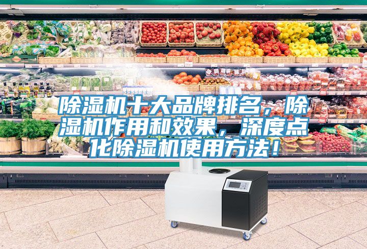 除湿机十大品牌排名，除湿机作用和效果，深度点化除湿机使用方法！