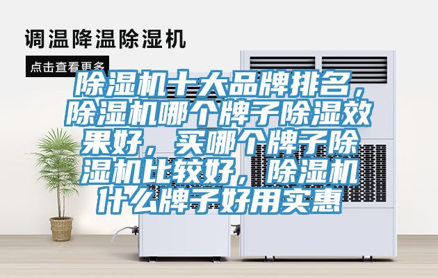 除湿机十大品牌排名，除湿机哪个牌子除湿效果好，买哪个牌子除湿机比较好，除湿机什么牌子好用实惠