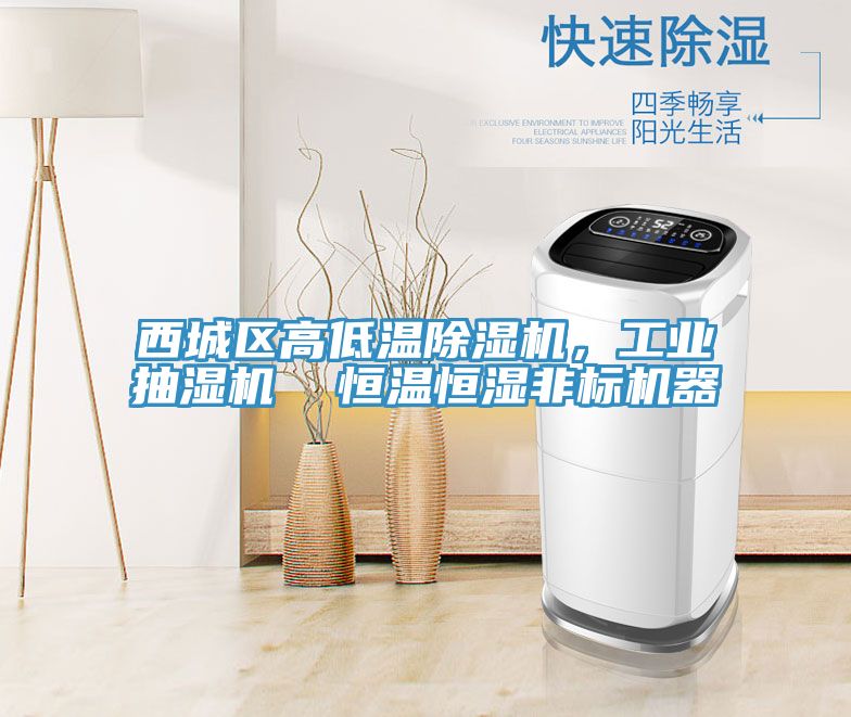 西城区高低温除湿机，工业抽湿机  恒温恒湿非标机器