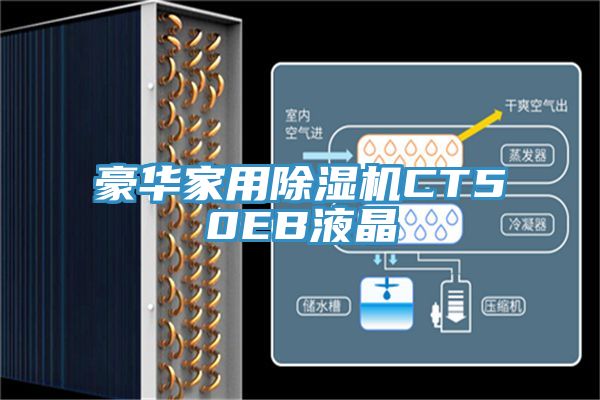 豪华家用除湿机CT50EB液晶