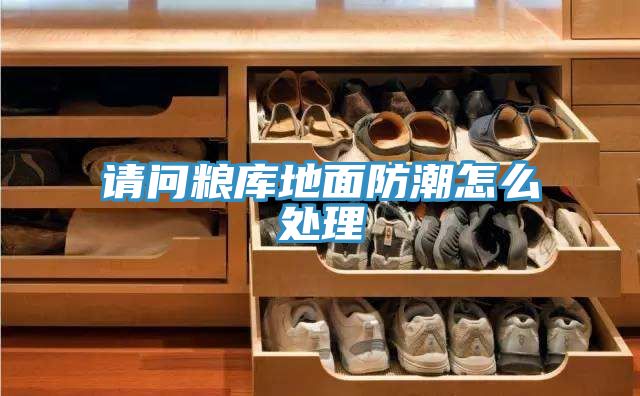 请问粮库地面防潮怎么处理