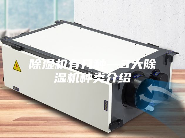 除湿机有几种—3大除湿机种类介绍
