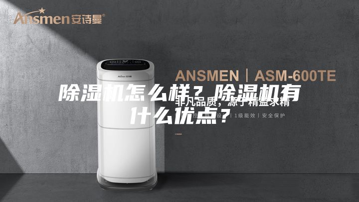 除湿机怎么样？除湿机有什么优点？