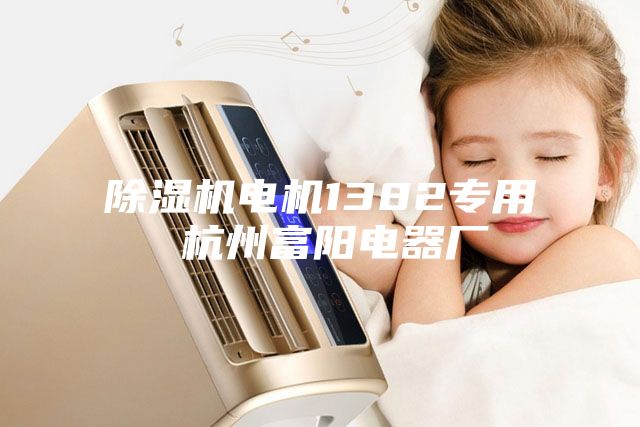 除湿机电机1382专用 杭州富阳电器厂