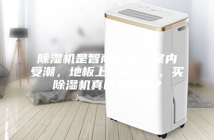 除湿机是智商税么？室内受潮，地板上都是水珠，买除湿机真的有用吗？