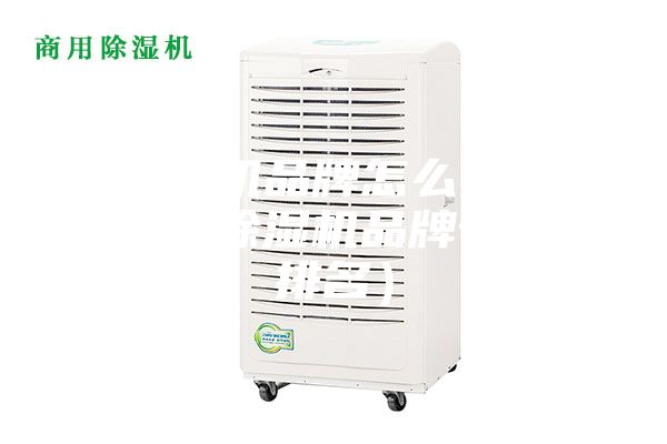 除湿机品牌怎么?。ǚ窒沓放剖雅琶?></div>
								<div class=