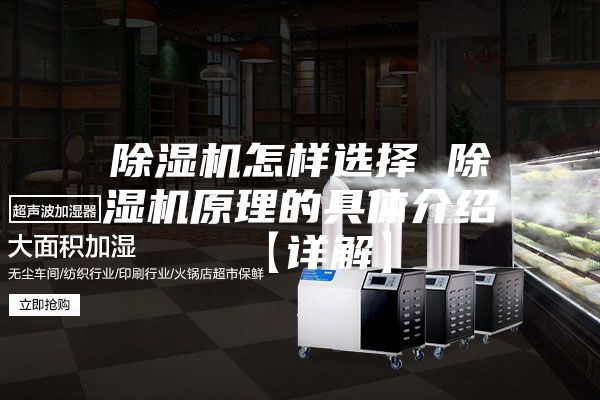 除湿机怎样选择 除湿机原理的具体介绍 【详解】