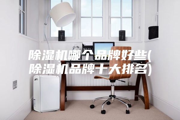 除湿机哪个品牌好些(除湿机品牌十大排名)