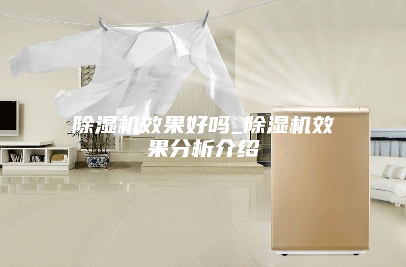 除湿机效果好吗_除湿机效果分析介绍