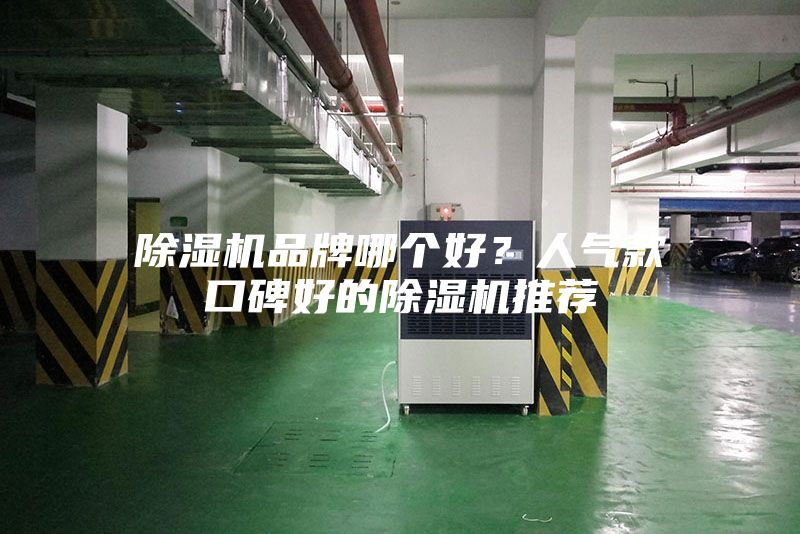 除湿机品牌哪个好？人气款口碑好的除湿机推荐