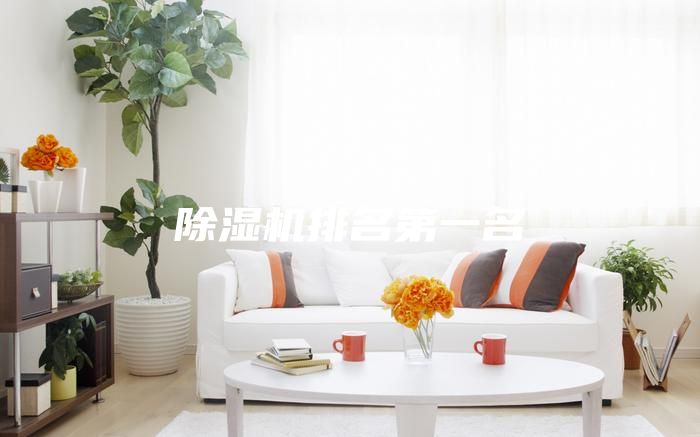 除湿机排名第一名