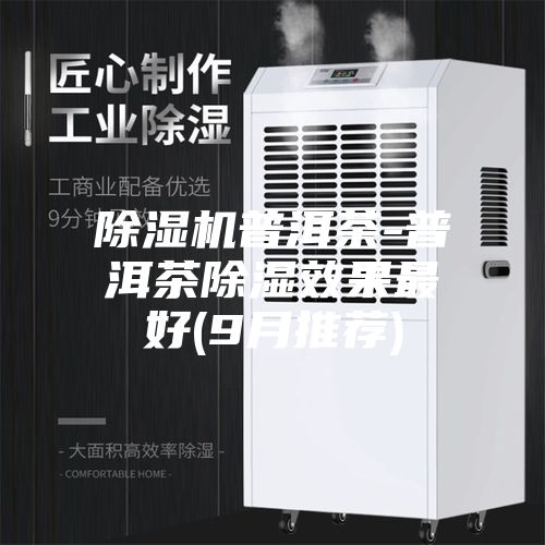 除湿机普洱茶-普洱茶除湿效果最好(9月推荐)