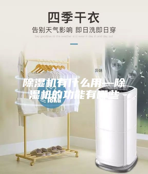 除湿机有什么用—除湿机的功能有哪些