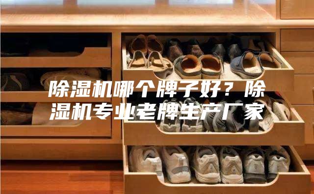 除湿机哪个牌子好？除湿机专业老牌生产厂家