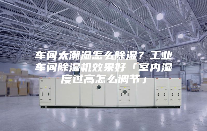 车间太潮湿怎么除湿？工业车间除湿机效果好「室内湿度过高怎么调节」