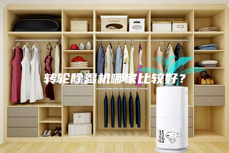 转轮除湿机哪家比较好？