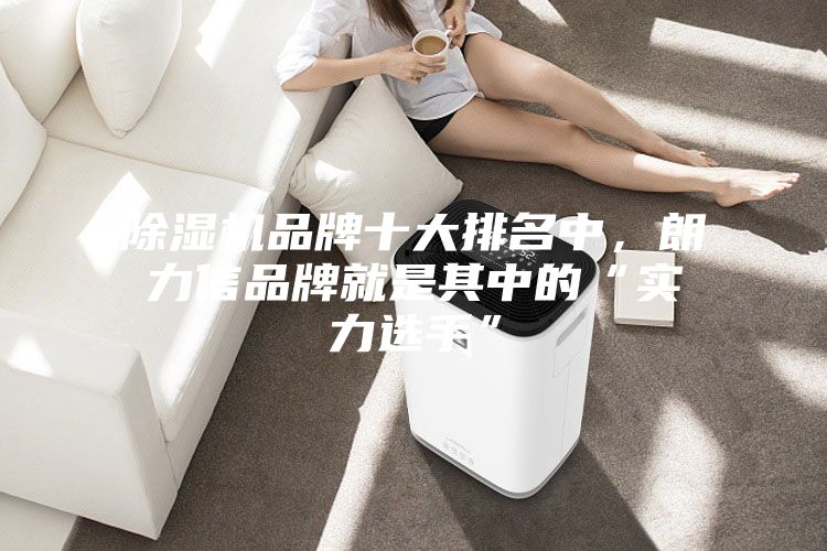 除湿机品牌十大排名中，朗力信品牌就是其中的“实力选手”