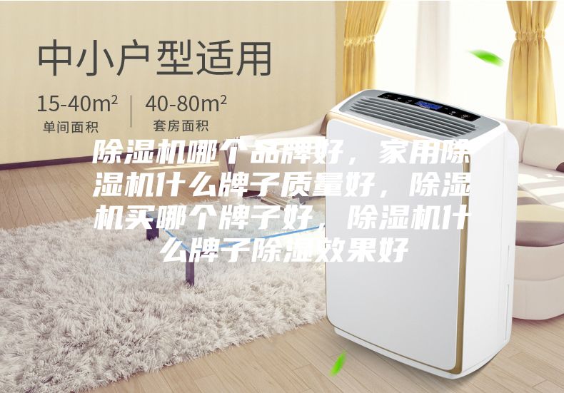 除湿机哪个品牌好，家用除湿机什么牌子质量好，除湿机买哪个牌子好，除湿机什么牌子除湿效果好