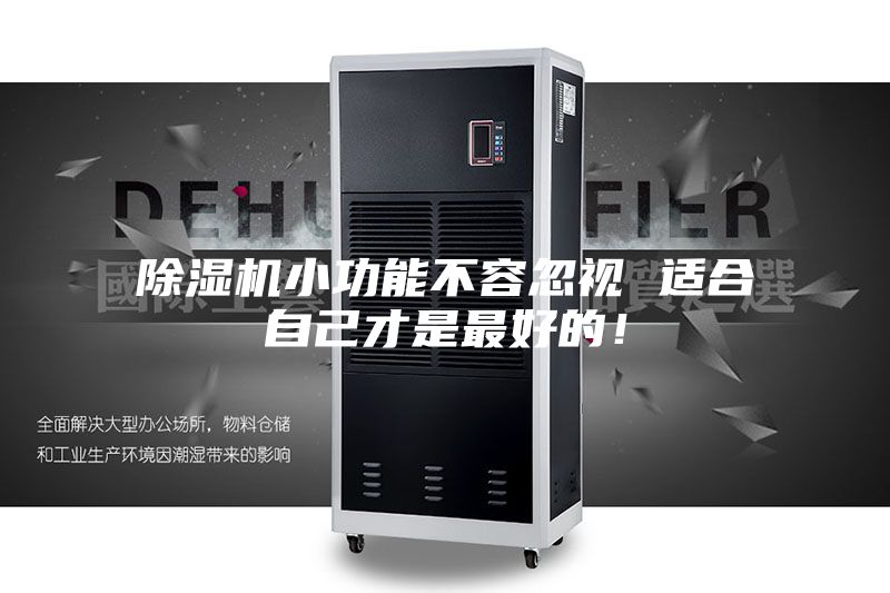 除湿机小功能不容忽视 适合自己才是最好的！