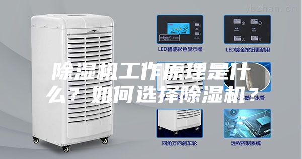 除湿机工作原理是什么？如何选择除湿机？