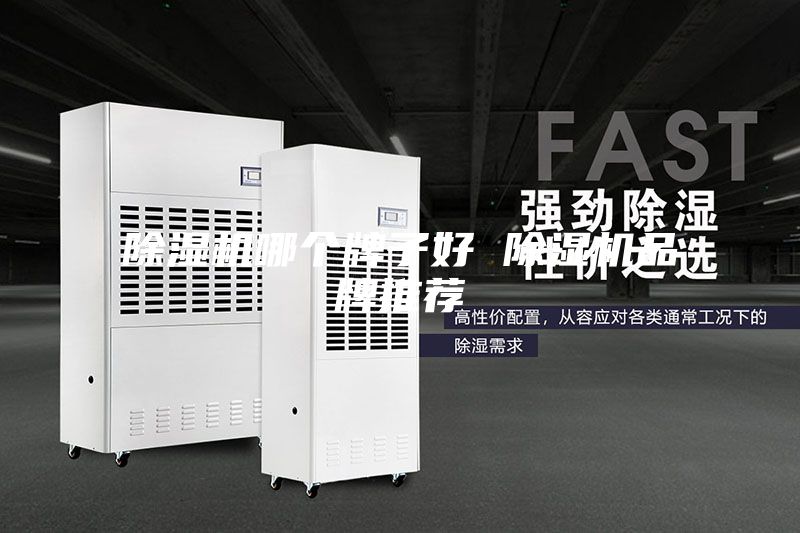除湿机哪个牌子好 除湿机品牌推荐