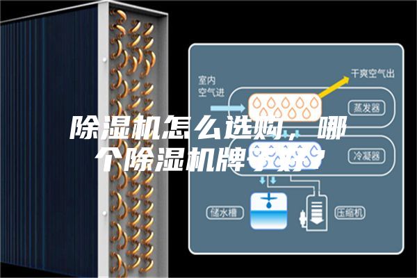除湿机怎么选购，哪个除湿机牌子好？