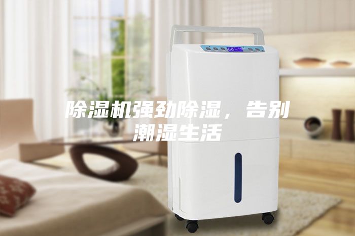 除湿机强劲除湿，告别潮湿生活