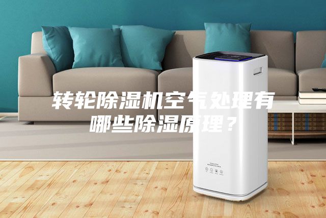 转轮除湿机空气处理有哪些除湿原理？