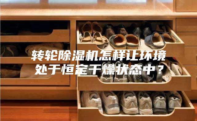 转轮除湿机怎样让环境处于恒定干燥状态中？