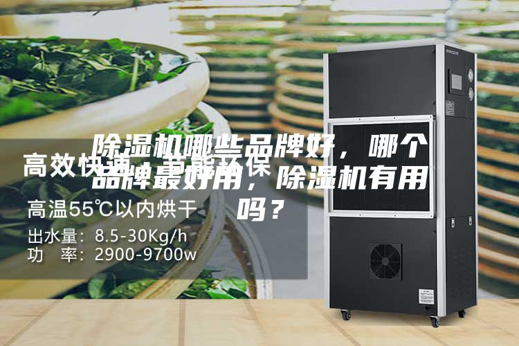 除湿机哪些品牌好，哪个品牌最好用，除湿机有用吗？